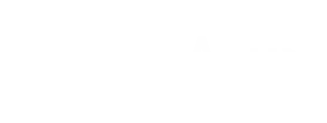 Pegasus Aero Group